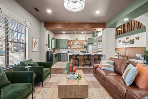 A living room with a green couch and a brown couch.